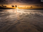 Salt Life, Dunes at Upton Towans #32