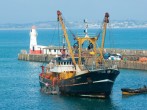 Newlyn Nookery #20