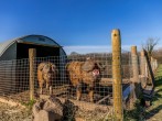 Windsor, Apple Tree Glamping #13