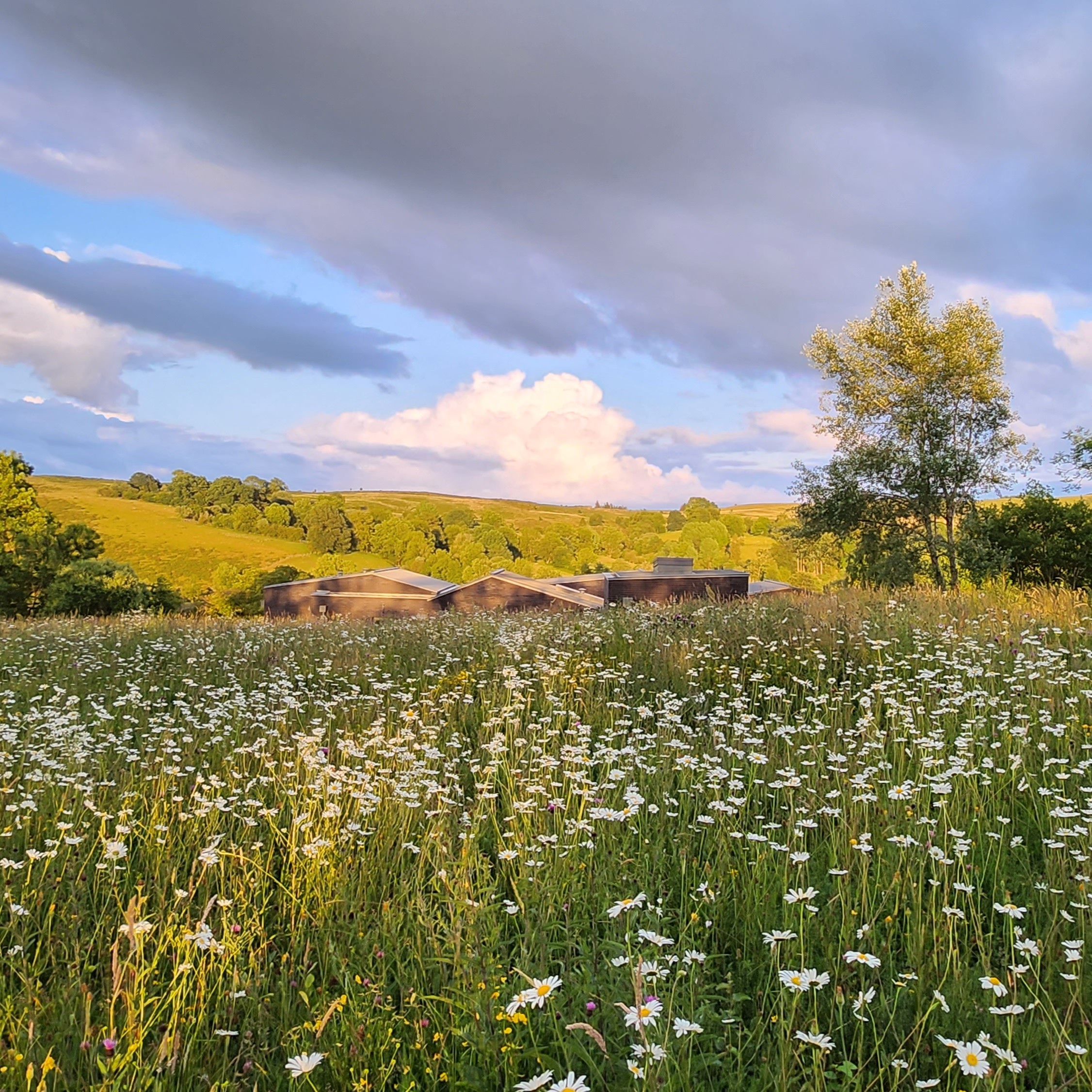 Architect designed Welsh retreat