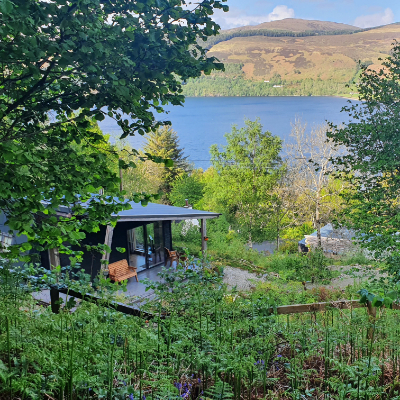 Treehouse views