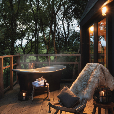 Treehouse cabin in rural Devon